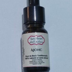 Ajonc – Gorse – Ulex europaeus (Désespoir, perte d’espoir)