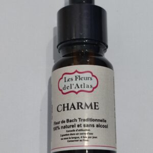Charme – Hornbeam – Carpinus betulus (Manque d’élan, fatigue mentale)
