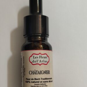 Châtaignier – Sweet Chestnut – Castanea sativa (Désespoir profond, obscurité intérieure)