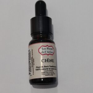 Chêne – Oak – Quercus robur (Persévérance excessive, épuisement moral)