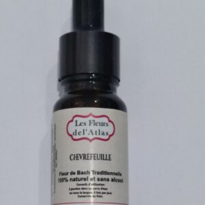 Chèvrefeuille – Honeysuckle – Lonicera caprifolium (Attachement au passé)