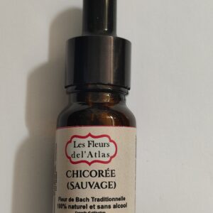 Chicorée – Chicory – Cichorium intybus (Possessivité, besoin de reconnaissance)