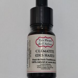 Clématite – Clematis vitalba (Rêverie, absence, manque d’ancrage)