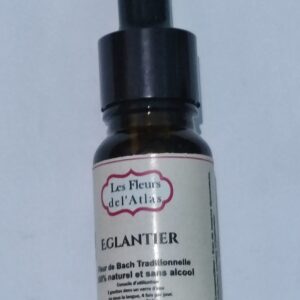 Églantier – Wild Rose – Rosa canina (Résignation, manque d’intérêt)