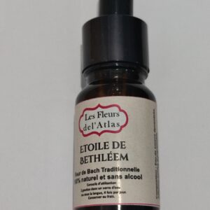 Étoile de Bethléem – Star of Bethlehem – Ornithogalum umbellatum (Choc, traumatisme, réconfort après les blessures)