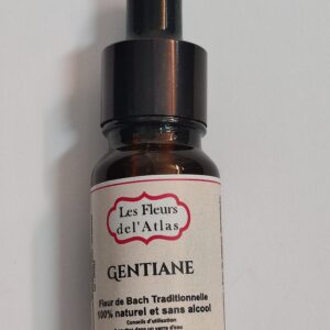 Gentiane – Gentian - Gentiana amarella (Découragement, doute passager)