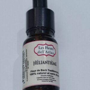 Hélianthème – Rock Rose – Helianthemum nummularium (Peur panique)