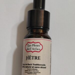 Hêtre – Beech – Fagus sylvatica (Critique, intolérance)