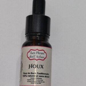 Houx – Holly – Ilex aquifolium (Jalousie, colère, méfiance, fermeture du cœur)