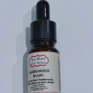 Marronnier blanc – White Chestnut – Aesculus hippocastanum (Ruminations mentales, pensées répétitives)