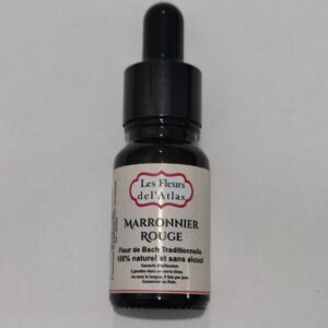 Marronnier rouge – Red Chestnut – Aesculus carnea (Peur pour les autres)