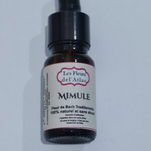 Mimule – Mimulus – Mimulus guttatus (Peurs connues)