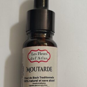 Moutarde – Mustard – Sinapis arvensis (Tristesse sans cause apparente)
