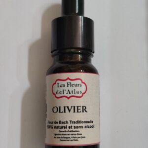 Olivier – Olive – Olea europaea (Épuisement total)