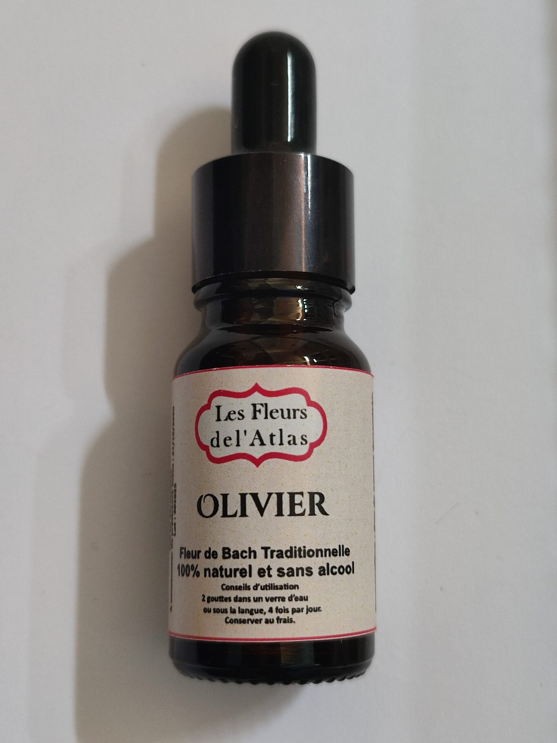 Olivier – Olive – Olea europaea (Épuisement total)