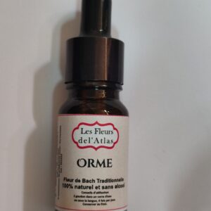 Orme – Elm – Ulmus procera (Surmenage, sentiment d’incapacité temporaire)