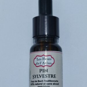 Pin sylvestre – Pine – Pinus sylvestris (Culpabilité, autodévalorisation)