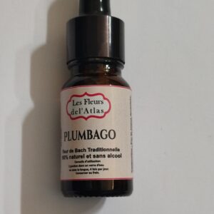 Plumbago – Cerato – Ceratostigma willmottianum (Manque de confiance en ses choix)