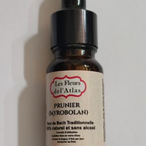 Prunus – Cherry Plum – Prunus cerasifera (Peur de perdre le contrôle)