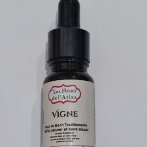 Vigne – Vine – Vitis vinifera (Domination, autorité excessive)