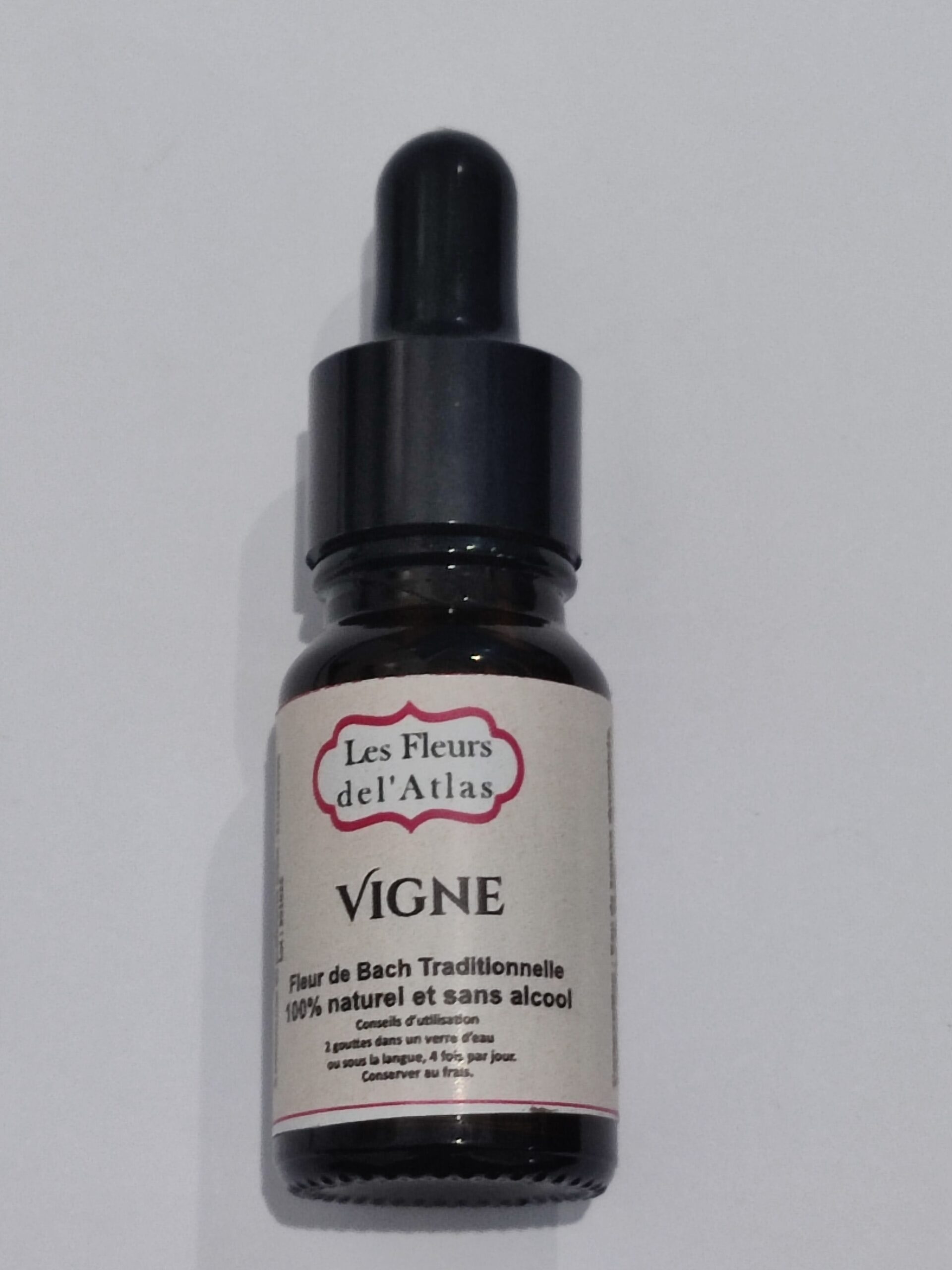 Vigne – Vine – Vitis vinifera (Domination, autorité excessive)