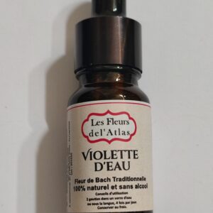 Violette d’eau – Water Violet – Hottonia palustris (Réserve, distance, orgueil discret)